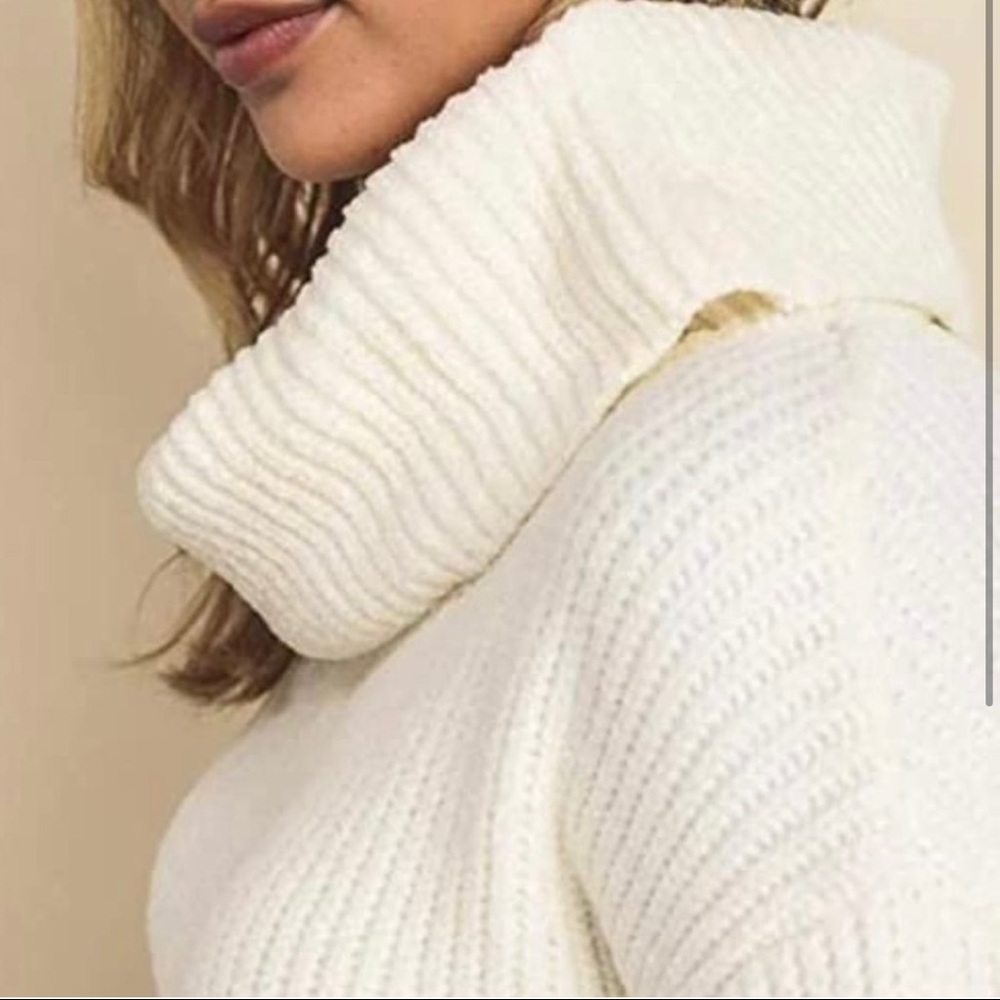 Dress Forum Cowl Neck Pullover Sweater